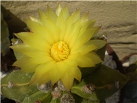 92d3e45e-Picture 013.jpg